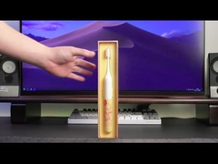 Rechargeable Oral Care Electric Toothbrush IPX7 Waterproof For Adults Teens